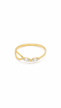 The Iris Band
