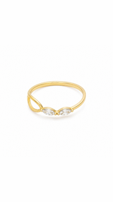 The Iris Band - Image 1