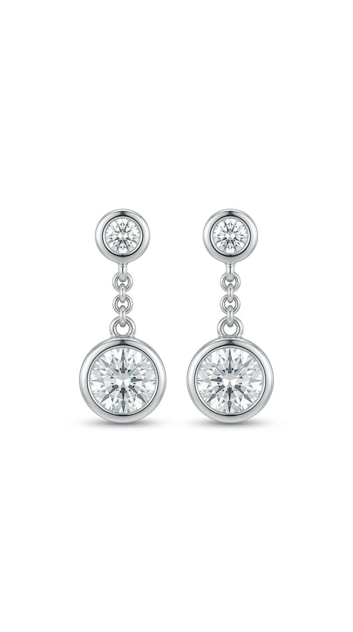 The Duo Drop Earrings